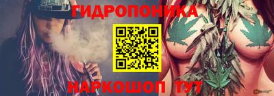 каннабис Сланцы