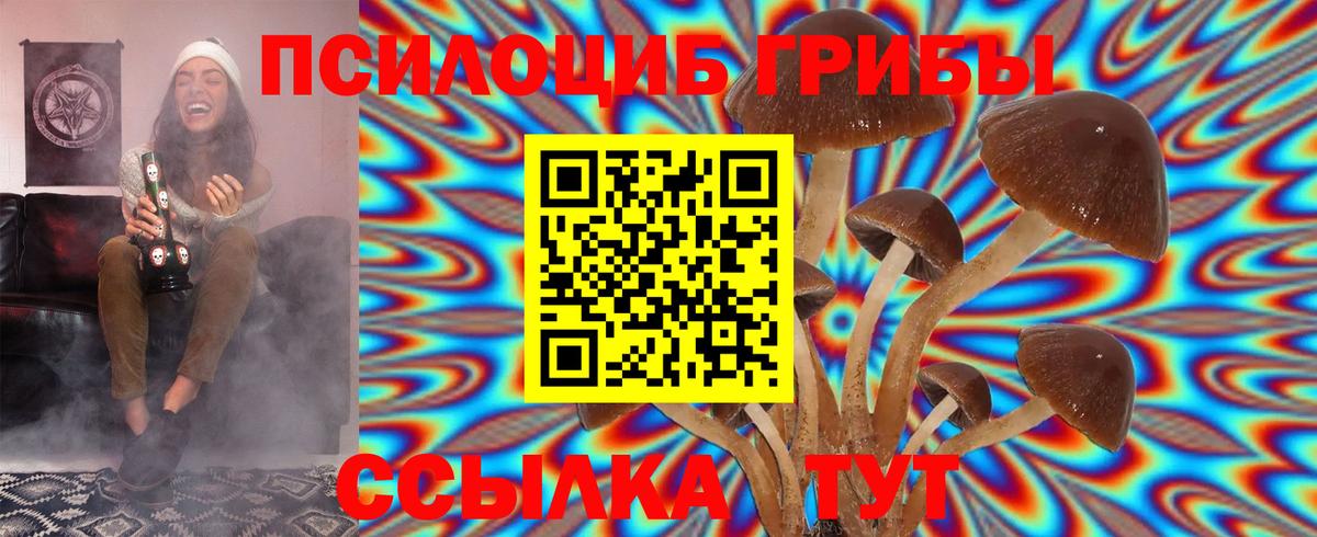 Мурино  Галлюциногенные грибы ЛСД  Вход с VPN 