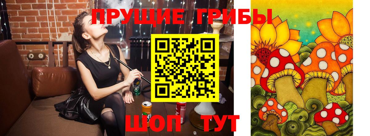 Галлюциногенные грибы MAGIC MUSHROOMS Мурино